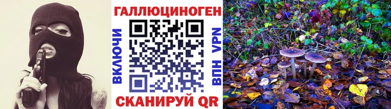 Псилоцибиновые грибы Cubensis  купить наркоту  мега онион  Барабинск 